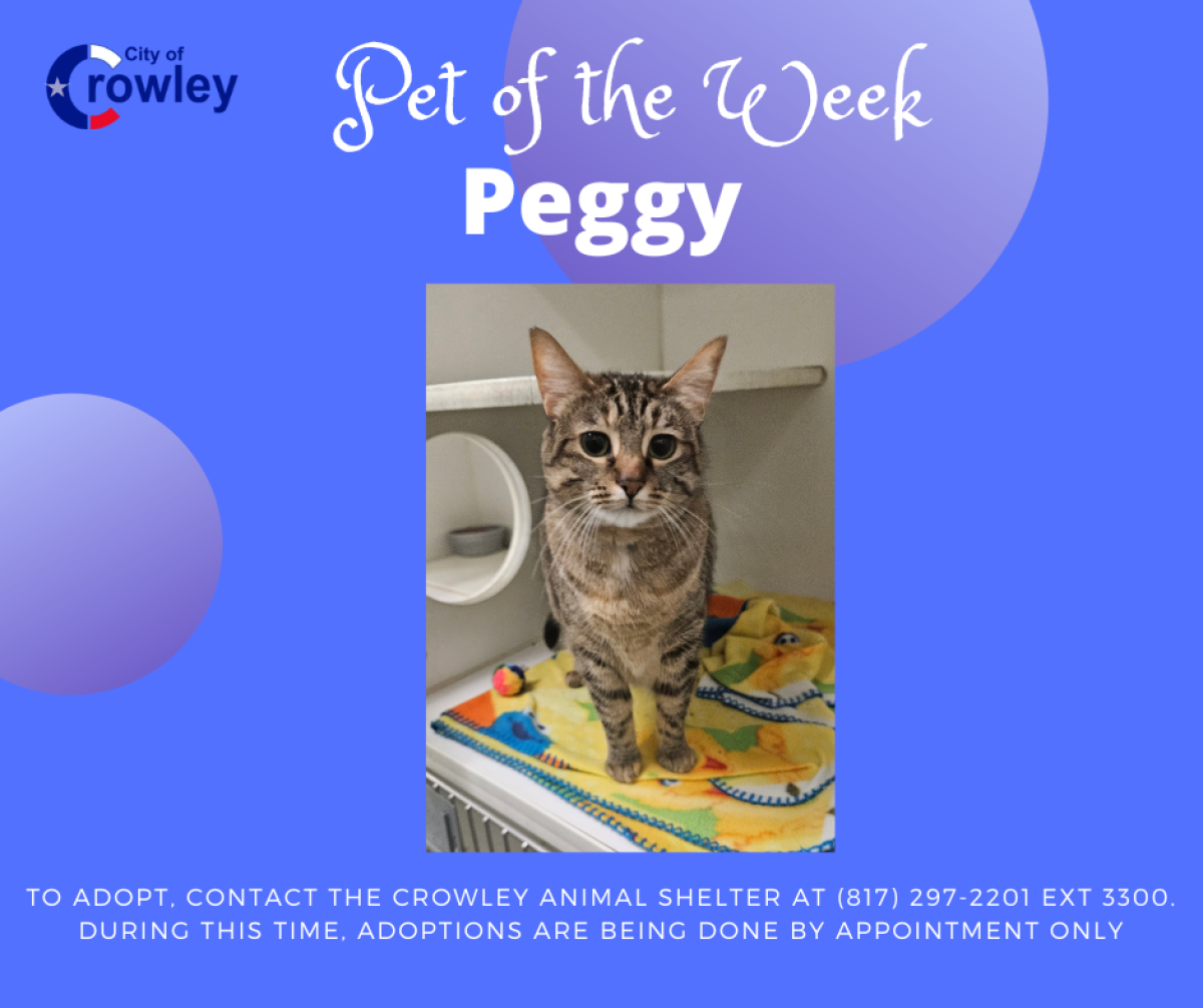 Peggy, Pet of the Week