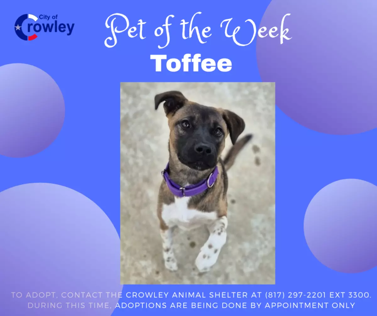 Toffee