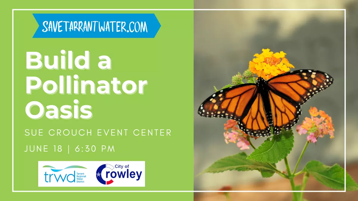 Pollinator