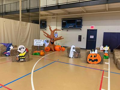 Peanuts setup